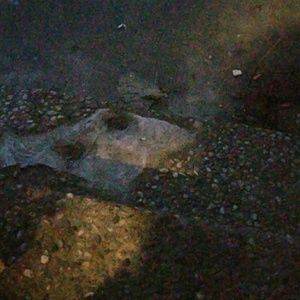 Meet your Posher, Krystle